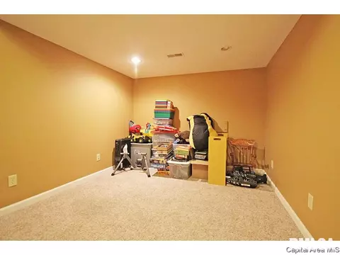 523 Eagle Ridge Dr, Chatham, IL 62629 photo 31