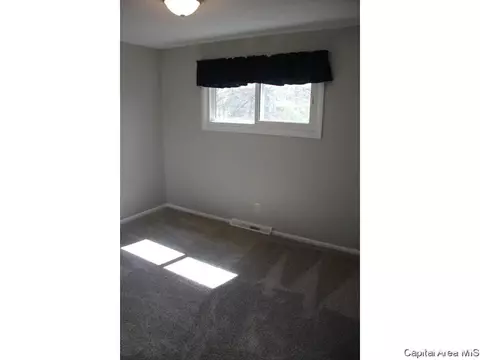 461 S Durkin Dr, Springfield, IL 62704 photo 26
