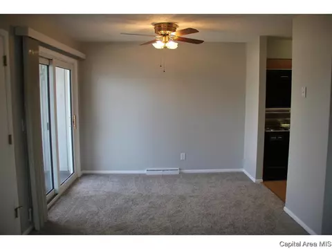 461 S Durkin Dr, Springfield, IL 62704 photo 13