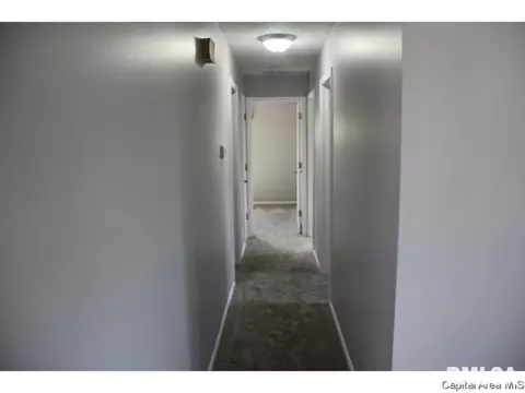 461 S Durkin Dr, Springfield, IL 62704 photo 14