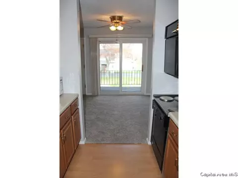 461 S Durkin Dr, Springfield, IL 62704 photo 7