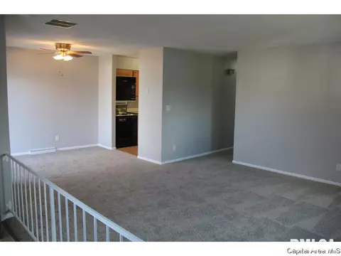 461 S Durkin Dr, Springfield, IL 62704 photo 2