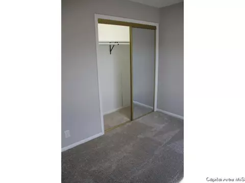 461 S Durkin Dr, Springfield, IL 62704 photo 28