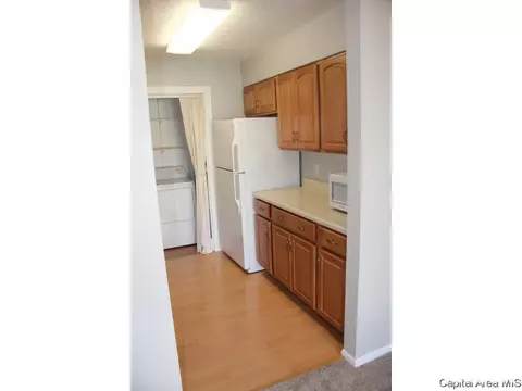 461 S Durkin Dr, Springfield, IL 62704 photo 12
