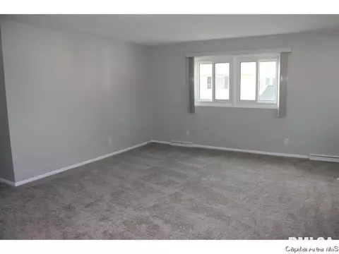 461 S Durkin Dr, Springfield, IL 62704 photo 4