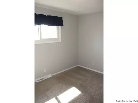 461 S Durkin Dr, Springfield, IL 62704 photo 27