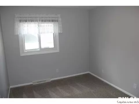 461 S Durkin Dr, Springfield, IL 62704 photo 15