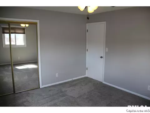 461 S Durkin Dr, Springfield, IL 62704 photo 25