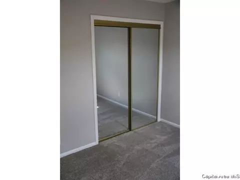 461 S Durkin Dr, Springfield, IL 62704 photo 29