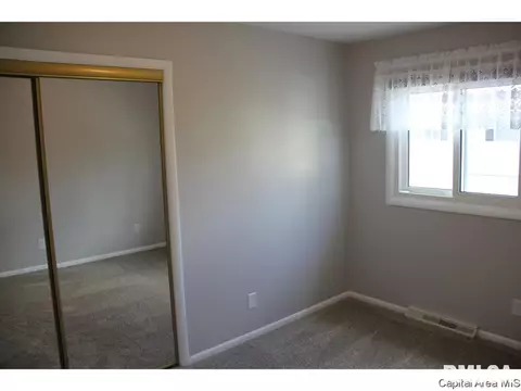 461 S Durkin Dr, Springfield, IL 62704 photo 17