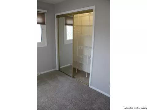 461 S Durkin Dr, Springfield, IL 62704 photo 23