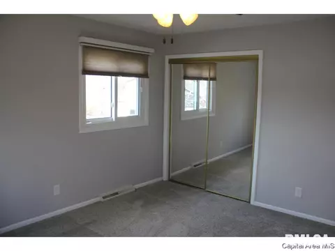 461 S Durkin Dr, Springfield, IL 62704 photo 22