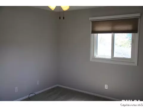 461 S Durkin Dr, Springfield, IL 62704 photo 24