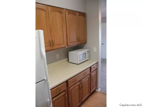 461 S Durkin Dr, Springfield, IL 62704 photo 8