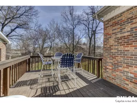 2116 Timbercrest Dr, Springfield, IL 62702 photo 29