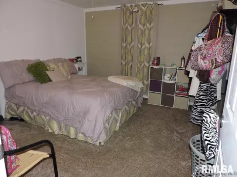 340 N Lincoln Ave, Springfield, IL 62702 photo 13