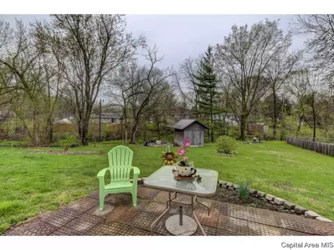 36 Birch Dr, Chatham, IL 62629 photo 31
