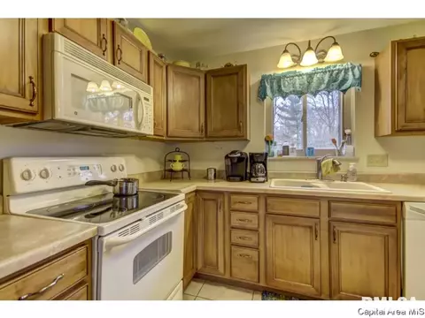 36 Birch Dr, Chatham, IL 62629 photo 19