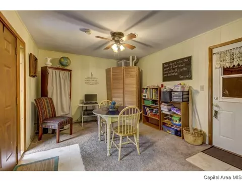 36 Birch Dr, Chatham, IL 62629 photo 11