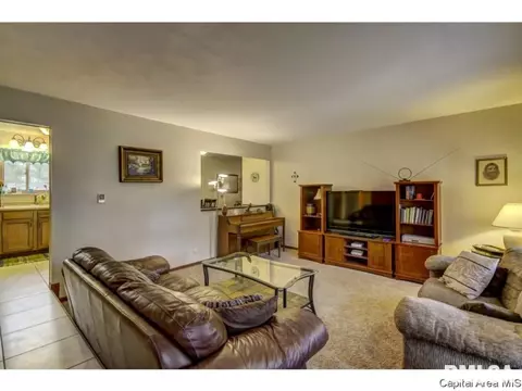 36 Birch Dr, Chatham, IL 62629 photo 8