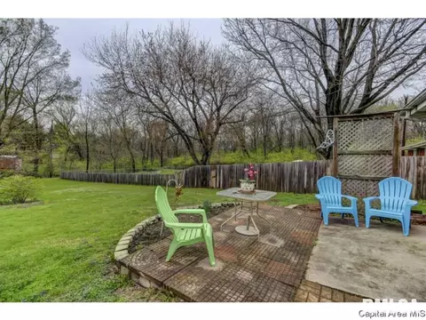 36 Birch Dr, Chatham, IL 62629 photo 30