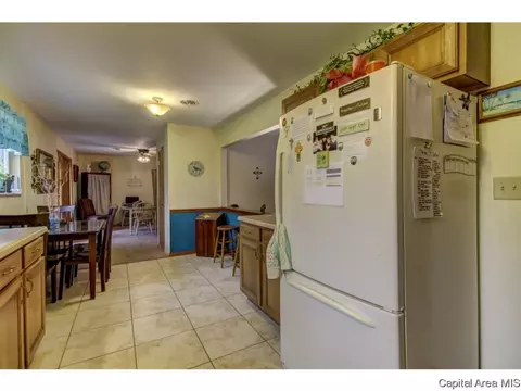 36 Birch Dr, Chatham, IL 62629 photo 21