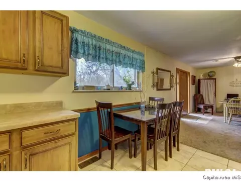 36 Birch Dr, Chatham, IL 62629 photo 17
