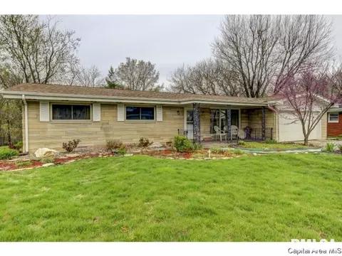 36 Birch Dr, Chatham, IL 62629 photo 35