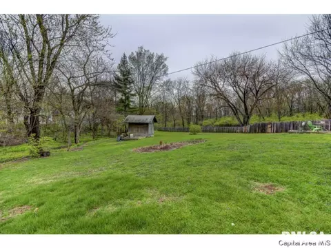 36 Birch Dr, Chatham, IL 62629 photo 32