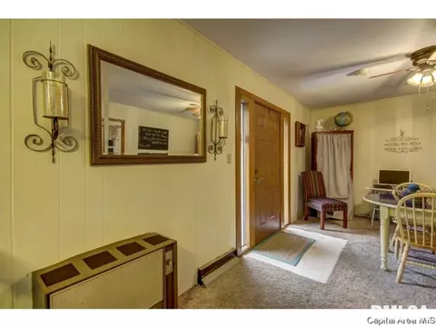 36 Birch Dr, Chatham, IL 62629 photo 10