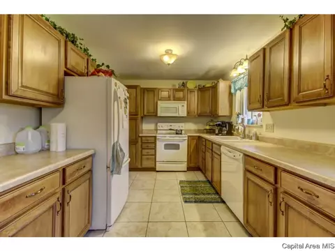 36 Birch Dr, Chatham, IL 62629 photo 20