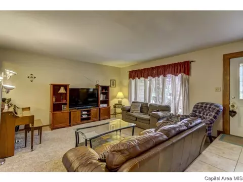 36 Birch Dr, Chatham, IL 62629 photo 9