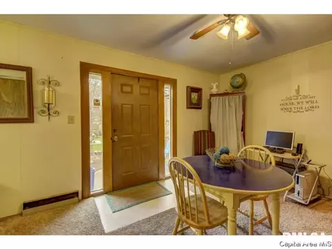 36 Birch Dr, Chatham, IL 62629 photo 12