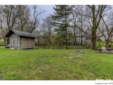 36 Birch Dr, Chatham, IL 62629 photo 33