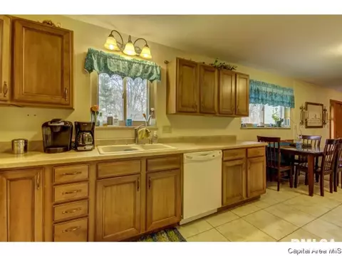 36 Birch Dr, Chatham, IL 62629 photo 18
