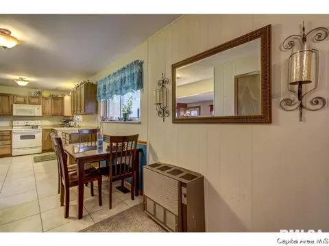 36 Birch Dr, Chatham, IL 62629 photo 13
