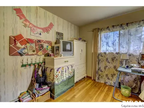 36 Birch Dr, Chatham, IL 62629 photo 22