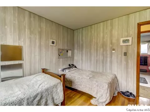36 Birch Dr, Chatham, IL 62629 photo 24