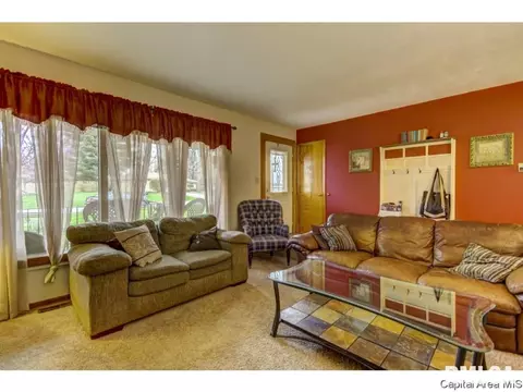 36 Birch Dr, Chatham, IL 62629 photo 6