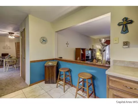 36 Birch Dr, Chatham, IL 62629 photo 16