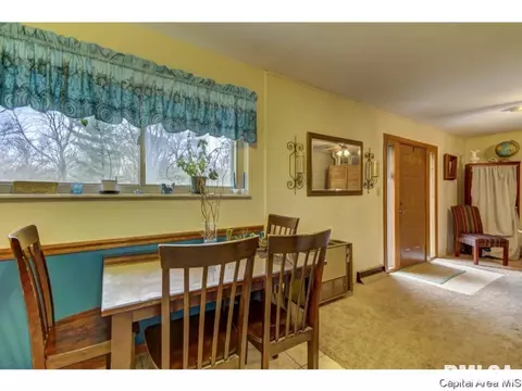 36 Birch Dr, Chatham, IL 62629 photo 14