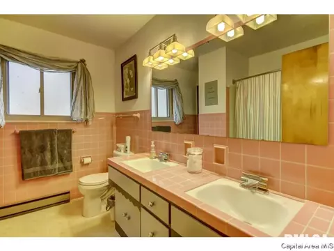 36 Birch Dr, Chatham, IL 62629 photo 28