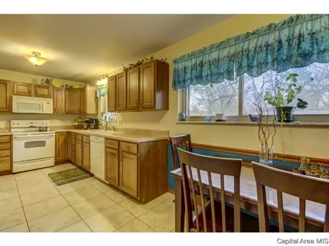 36 Birch Dr, Chatham, IL 62629 photo 15