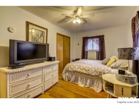 36 Birch Dr, Chatham, IL 62629 photo 26