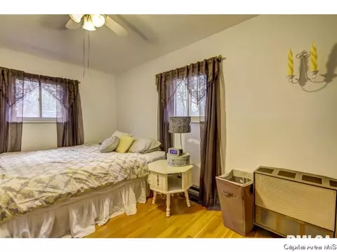 36 Birch Dr, Chatham, IL 62629 photo 27