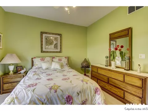3500 Peachtree, Springfield, IL 62711 photo 27