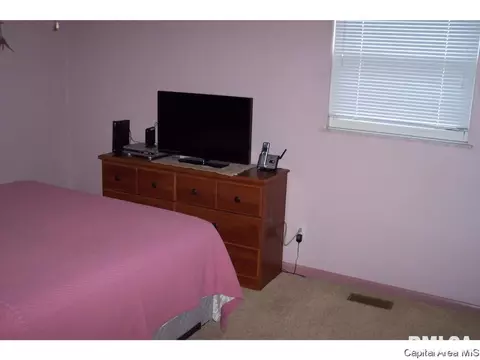 2217 E Black, Springfield, IL 62702 photo 9