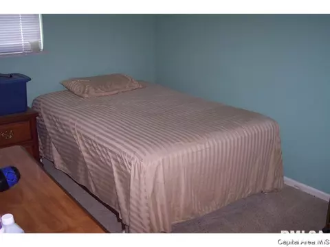 2217 E Black, Springfield, IL 62702 photo 8