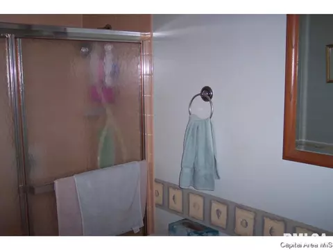 2217 E Black, Springfield, IL 62702 photo 6