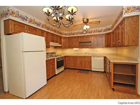12 Craig Dr, Springfield, IL 62711 photo 6